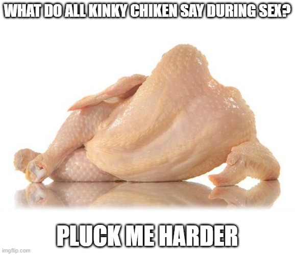 Kinky Chicken | WHAT DO ALL KINKY CHIKEN SAY DURING SEX? PLUCK ME HARDER | image tagged in sexy chicken | made w/ Imgflip meme maker