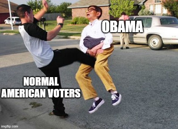 Kicked in ze nuts | OBAMA NORMAL AMERICAN VOTERS | image tagged in kicked in ze nuts | made w/ Imgflip meme maker