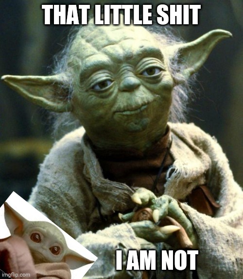 Baby Yoda, I am not. | THAT LITTLE SHIT; I AM NOT | image tagged in memes,star wars yoda | made w/ Imgflip meme maker