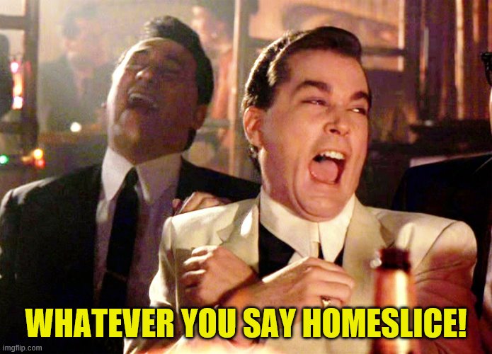 Good Fellas Hilarious Meme | WHATEVER YOU SAY HOMESLICE! | image tagged in memes,good fellas hilarious | made w/ Imgflip meme maker