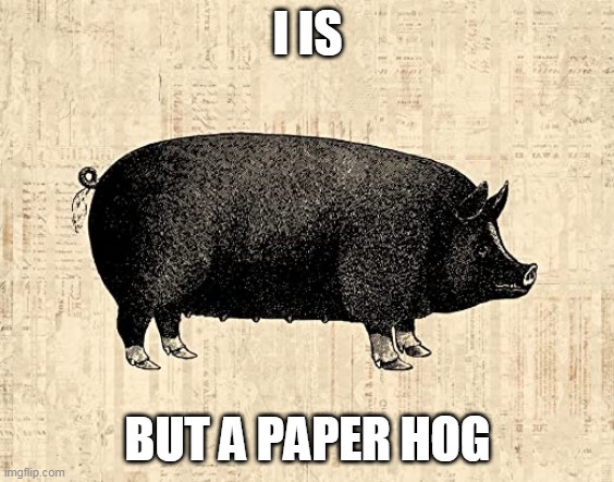 paper hog | I IS; BUT A PAPER HOG | image tagged in hog,paper | made w/ Imgflip meme maker