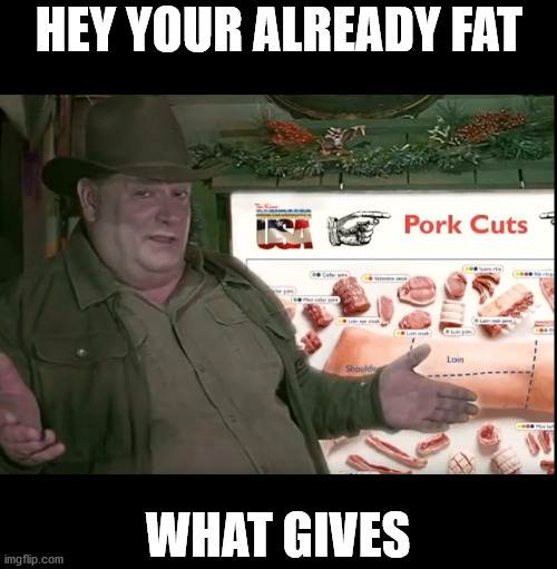 FatGuyGivesAdvice | HEY YOUR ALREADY FAT; WHAT GIVES | image tagged in fat | made w/ Imgflip meme maker