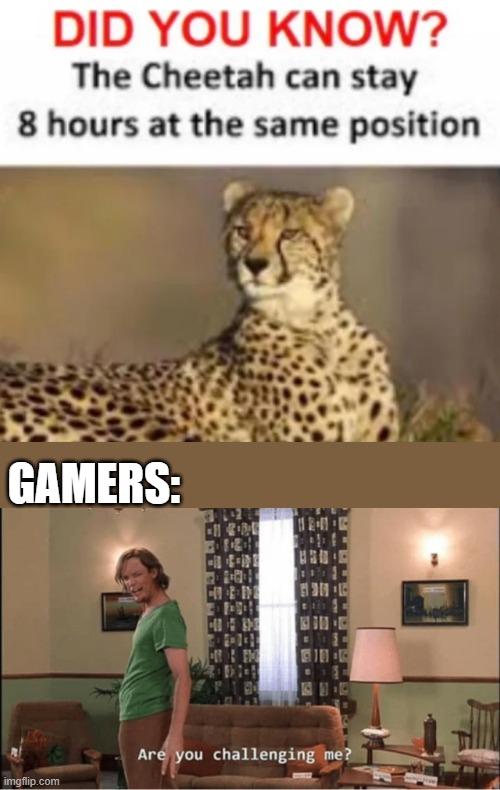 Are You Challenging Me? | GAMERS: | image tagged in are you challenging me | made w/ Imgflip meme maker