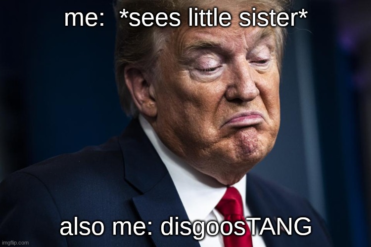 is it just me or does my lil sis co-star in a ton of my memes? | me:  *sees little sister*; also me: disgoosTANG | image tagged in donald trump,disgusted face | made w/ Imgflip meme maker