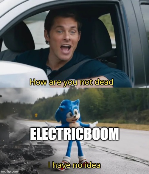 Sonic I have no idea | ELECTRICBOOM | image tagged in sonic i have no idea | made w/ Imgflip meme maker