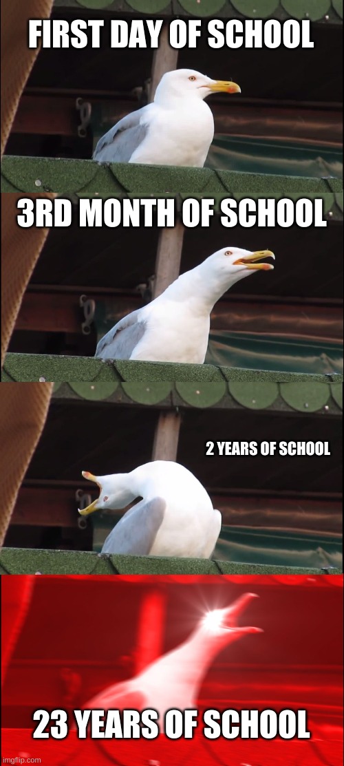 school | FIRST DAY OF SCHOOL; 3RD MONTH OF SCHOOL; 2 YEARS OF SCHOOL; 23 YEARS OF SCHOOL | image tagged in memes,inhaling seagull | made w/ Imgflip meme maker