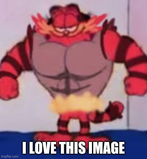 Garfield Growls | I LOVE THIS IMAGE | image tagged in garfield,pokemon | made w/ Imgflip meme maker