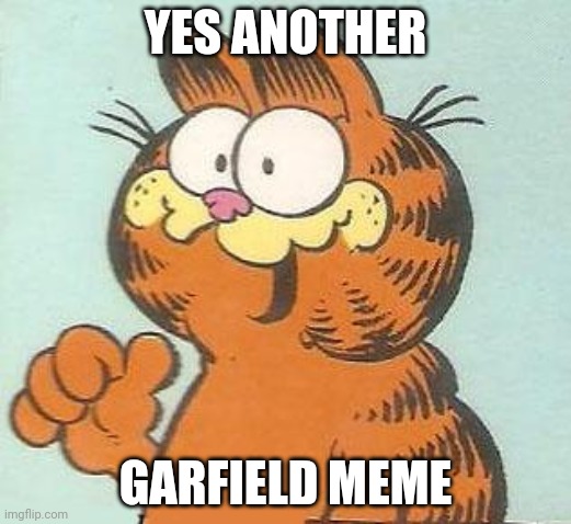 Garfield | YES ANOTHER; GARFIELD MEME | image tagged in garfield | made w/ Imgflip meme maker