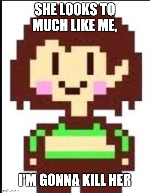 Chara undertale  | SHE LOOKS TO MUCH LIKE ME, I'M GONNA KILL HER | image tagged in chara undertale | made w/ Imgflip meme maker