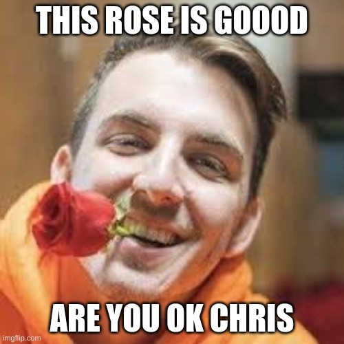 eating a rose | THIS ROSE IS GOOOD; ARE YOU OK CHRIS | image tagged in mrbeast | made w/ Imgflip meme maker