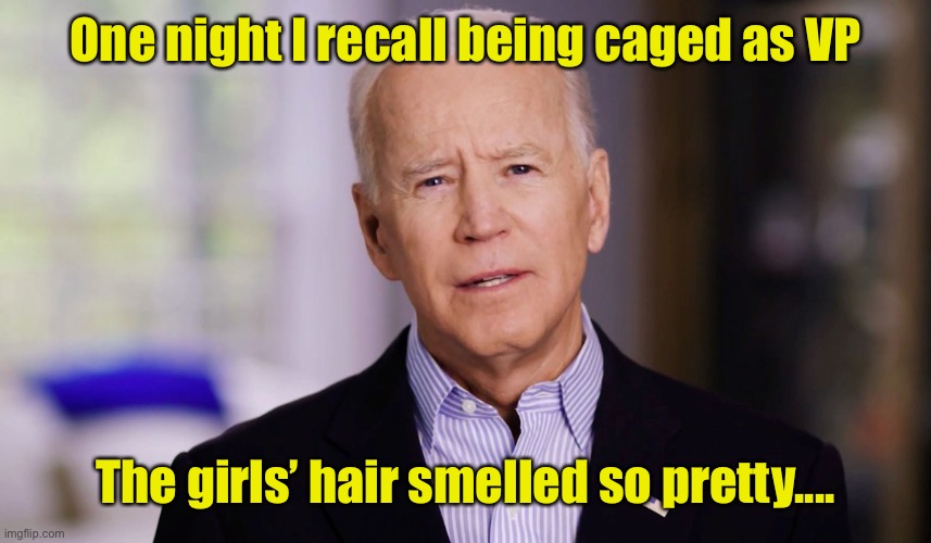 Joe Biden 2020 | One night I recall being caged as VP The girls’ hair smelled so pretty.... | image tagged in joe biden 2020 | made w/ Imgflip meme maker