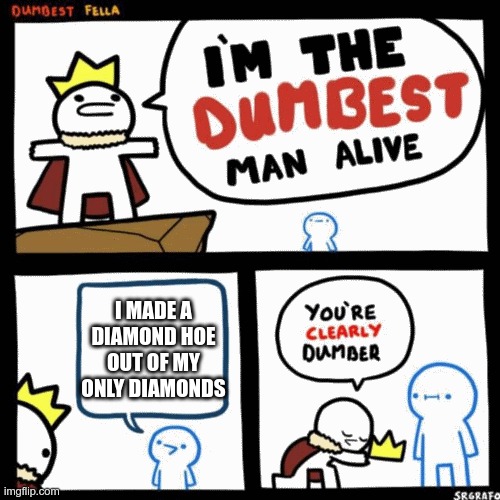 I'm the dumbest man alive | I MADE A DIAMOND HOE OUT OF MY ONLY DIAMONDS | image tagged in i'm the dumbest man alive | made w/ Imgflip meme maker