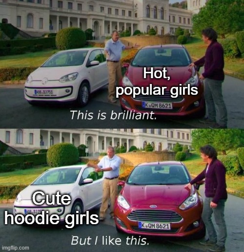 The superior | Hot, popular girls; Cute hoodie girls | image tagged in this is brilliant but i like this,memes,funny,cute,girls | made w/ Imgflip meme maker