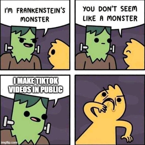 frankenstein's monster | I MAKE TIKTOK VIDEOS IN PUBLIC | image tagged in frankenstein's monster | made w/ Imgflip meme maker