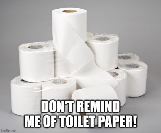 toilet paper | DON'T REMIND ME OF TOILET PAPER! | image tagged in toilet paper | made w/ Imgflip meme maker