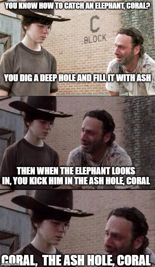YOU KNOW HOW TO CATCH AN ELEPHANT, CORAL? YOU DIG A DEEP HOLE AND FILL IT WITH ASH; THEN WHEN THE ELEPHANT LOOKS IN, YOU KICK HIM IN THE ASH HOLE, CORAL; CORAL,  THE ASH HOLE, CORAL | image tagged in thewalkingdead,funny memes,rick and carl,bad joke,jokes | made w/ Imgflip meme maker