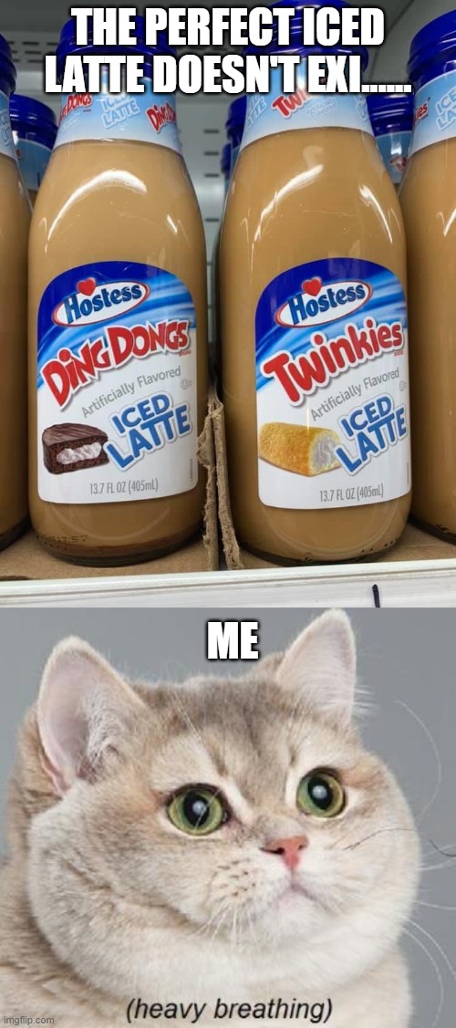 MMMM i can hear my fat growing | THE PERFECT ICED LATTE DOESN'T EXI...... ME | image tagged in memes,heavy breathing cat | made w/ Imgflip meme maker
