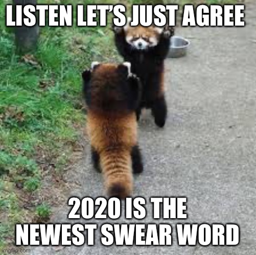 2020 swear | LISTEN LET’S JUST AGREE; 2020 IS THE NEWEST SWEAR WORD | image tagged in 2020,swearing,swear word | made w/ Imgflip meme maker