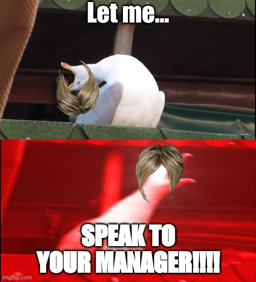 This Meme Template Perfectly Fits Karen | Let me... SPEAK TO YOUR MANAGER!!!! | image tagged in screaming bird | made w/ Imgflip meme maker