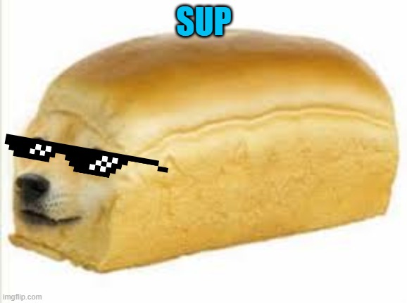 Doge bread | SUP | image tagged in doge bread | made w/ Imgflip meme maker