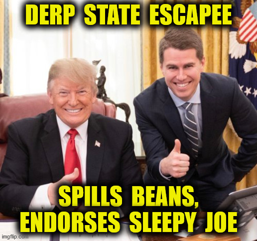 Sellout? | DERP  STATE  ESCAPEE; SPILLS  BEANS,
ENDORSES  SLEEPY  JOE | image tagged in miles taylor,dhs staffer,cashes in,donald trump,2020,memes | made w/ Imgflip meme maker