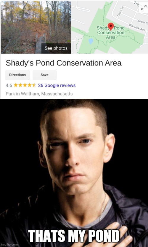 first post here in a while from me | THATS MY POND | image tagged in memes,eminem | made w/ Imgflip meme maker