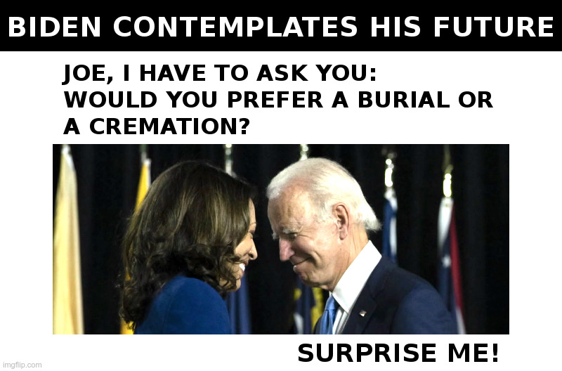 Joe Biden Contemplates His Future | image tagged in joe biden,kamala harris,democrats,buried,cremation | made w/ Imgflip meme maker