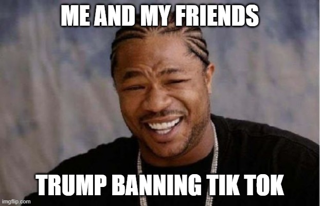 Yo Dawg Heard You | ME AND MY FRIENDS; TRUMP BANNING TIK TOK | image tagged in memes,yo dawg heard you | made w/ Imgflip meme maker