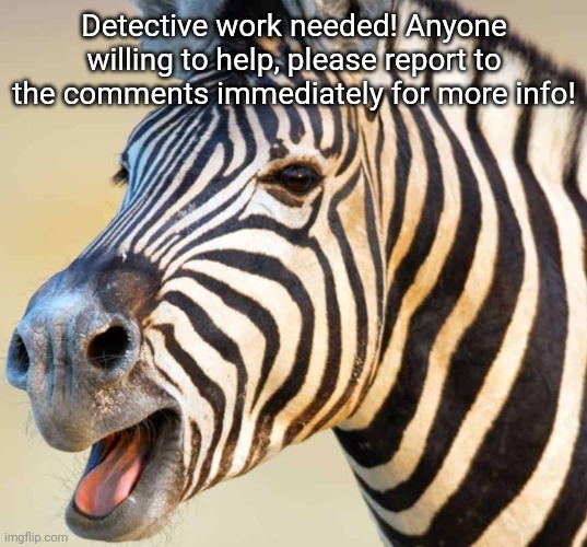 This is about an image posted in this very stream, but was shortly deleted. | Detective work needed! Anyone willing to help, please report to the comments immediately for more info! | image tagged in happy zebra | made w/ Imgflip meme maker