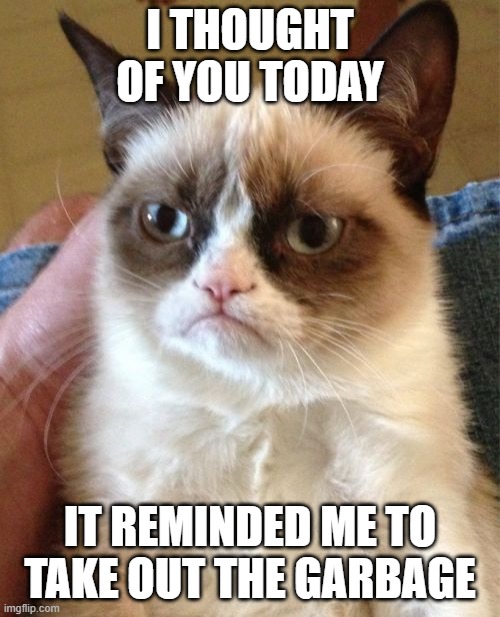 Grumpy Cat | I THOUGHT OF YOU TODAY; IT REMINDED ME TO TAKE OUT THE GARBAGE | image tagged in memes,grumpy cat | made w/ Imgflip meme maker