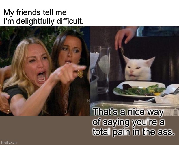 Women yelling at cat | My friends tell me I'm delightfully difficult. That's a nice way of saying you're a total pain in the ass. | image tagged in memes,woman yelling at cat | made w/ Imgflip meme maker