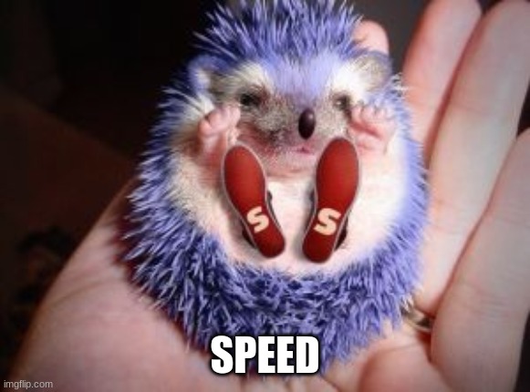 sonic da hegdejhogg | SPEED | image tagged in sonic,blue hedgehog,funny,fun,cute | made w/ Imgflip meme maker