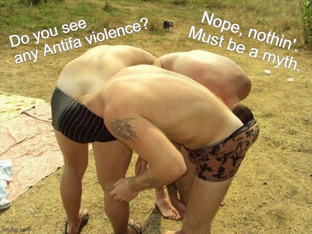 head in ass circle | Do you see any Antifa violence? Nope, nothin'. Must be a myth. | image tagged in head in ass circle | made w/ Imgflip meme maker