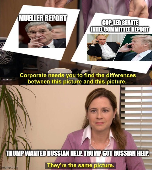 Trump said | GOP-LED SENATE INTEL COMMITTEE REPORT; MUELLER REPORT; TRUMP WANTED RUSSIAN HELP. TRUMP GOT RUSSIAN HELP. | image tagged in they are the same picture,trump putin phone call | made w/ Imgflip meme maker