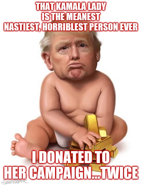 Kamala lady mean | THAT KAMALA LADY IS THE MEANEST
NASTIEST, HORRIBLEST PERSON EVER; I DONATED TO HER CAMPAIGN...TWICE | image tagged in baby trump | made w/ Imgflip meme maker