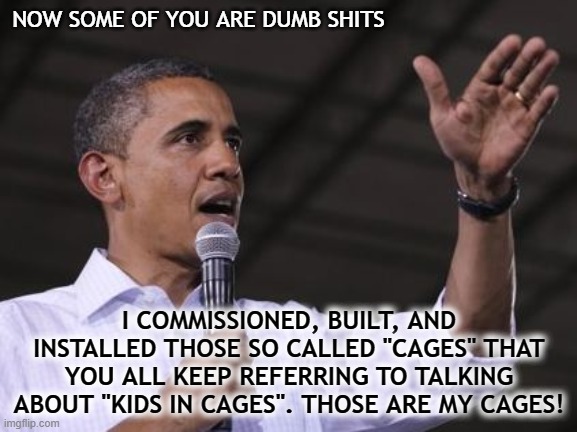 Kids in Cages Hypocrisy | NOW SOME OF YOU ARE DUMB SHITS; I COMMISSIONED, BUILT, AND INSTALLED THOSE SO CALLED "CAGES" THAT YOU ALL KEEP REFERRING TO TALKING ABOUT "KIDS IN CAGES". THOSE ARE MY CAGES! | image tagged in kids in cages,obama's cages,family separation,illegals,michelle obama lies | made w/ Imgflip meme maker
