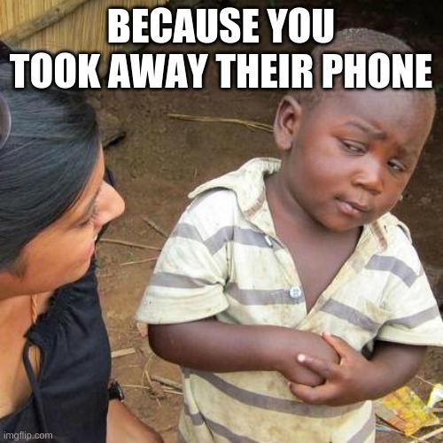 Third World Skeptical Kid Meme | BECAUSE YOU TOOK AWAY THEIR PHONE | image tagged in memes,third world skeptical kid | made w/ Imgflip meme maker