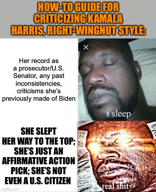 It’d be nice if we could have an election that were a little bit based in reality | HOW-TO GUIDE FOR CRITICIZING KAMALA HARRIS, RIGHT-WINGNUT STYLE:; Her record as a prosecutor/U.S. Senator, any past inconsistencies, criticisms she’s previously made of Biden; SHE SLEPT HER WAY TO THE TOP; SHE’S JUST AN AFFIRMATIVE ACTION PICK; SHE’S NOT EVEN A U.S. CITIZEN | image tagged in memes,sleeping shaq,right wing,kamala harris,election 2020,trump supporters | made w/ Imgflip meme maker