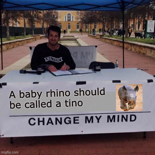 Baby rhino - better name | A baby rhino should
be called a tino | image tagged in change my mind 20,rhino,bad pun,lame,i tried,tino | made w/ Imgflip meme maker