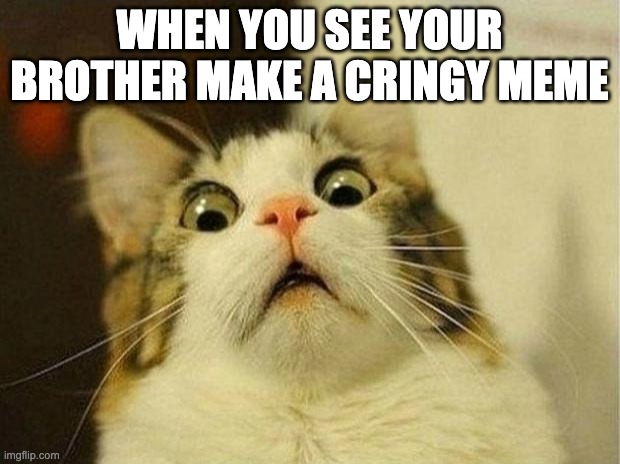 Scared Cat Meme | WHEN YOU SEE YOUR BROTHER MAKE A CRINGY MEME | image tagged in memes,scared cat | made w/ Imgflip meme maker