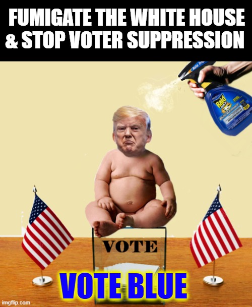 President  Cockroach | FUMIGATE THE WHITE HOUSE & STOP VOTER SUPPRESSION; VOTE BLUE | image tagged in trump is a moron,donald trump is an idiot,loser,election 2020 | made w/ Imgflip meme maker