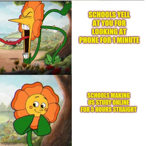 Cuphead Flower | SCHOOLS YELL AT YOU FOR LOOKING AT PHONE FOR 1 MINUTE; SCHOOLS MAKING US STUDY ONLINE FOR 5 HOURS STRAIGHT | image tagged in cuphead flower | made w/ Imgflip meme maker