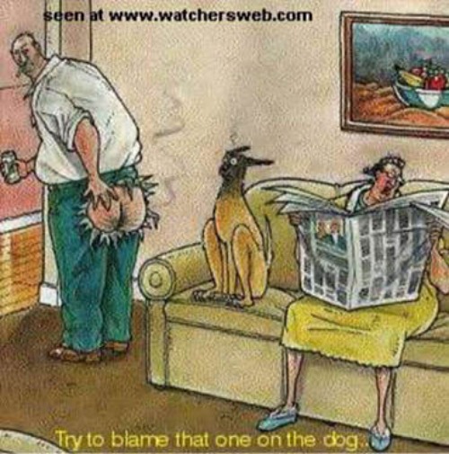 More Farts | image tagged in comics/cartoons,fun,funny,memes,farts | made w/ Imgflip meme maker