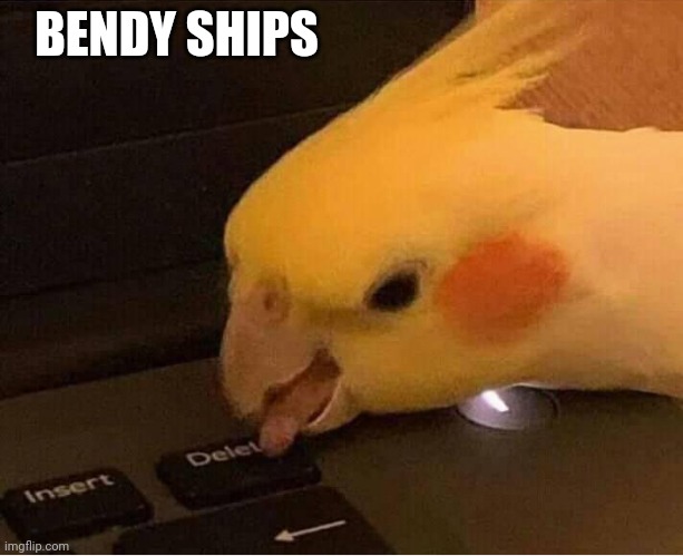 Delete Parrot | BENDY SHIPS | image tagged in parrots,batim,memes | made w/ Imgflip meme maker