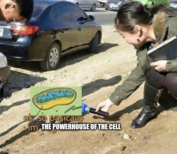 very smol | THE POWERHOUSE OF THE CELL | image tagged in very smol | made w/ Imgflip meme maker