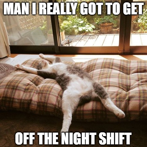 Working late sleeping later | MAN I REALLY GOT TO GET; OFF THE NIGHT SHIFT | image tagged in cats,memes,night shift,fun,funny,2020 | made w/ Imgflip meme maker