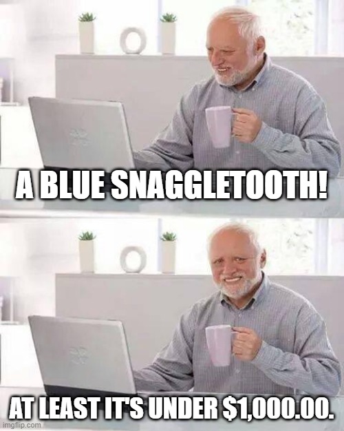 How much money they cost. A lot they do! | A BLUE SNAGGLETOOTH! AT LEAST IT'S UNDER $1,000.00. | image tagged in memes,hide the pain harold,star wars,funny | made w/ Imgflip meme maker