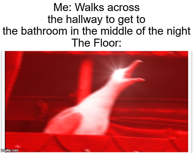 Screaming bird | Me: Walks across the hallway to get to the bathroom in the middle of the night
The Floor: | image tagged in screaming bird | made w/ Imgflip meme maker