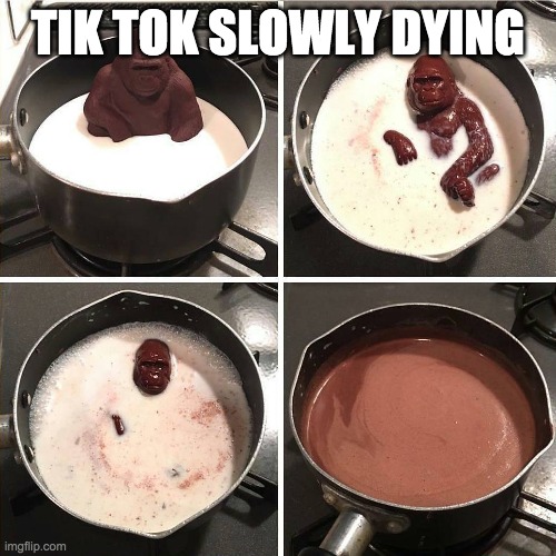 chocolate gorilla | TIK TOK SLOWLY DYING | image tagged in chocolate gorilla,memes,tik tok die | made w/ Imgflip meme maker