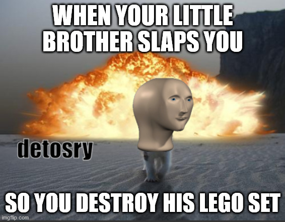 Meme Cat Detosry | WHEN YOUR LITTLE BROTHER SLAPS YOU; SO YOU DESTROY HIS LEGO SET | image tagged in meme cat detosry,cat explosion,meme man,meme cat,new template | made w/ Imgflip meme maker